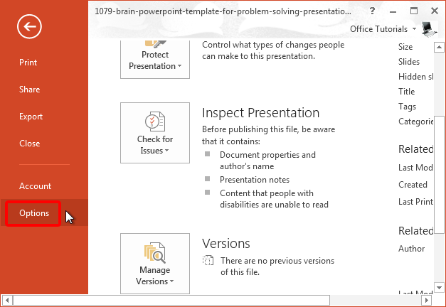 Powerpoint 2013 options