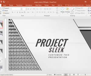 Sleek Presentation Template