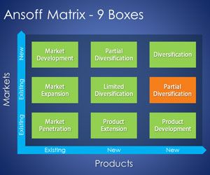 9 Boxes Ansoff Matrix PowerPoint Template