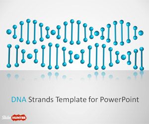 DNA Strands PowerPoint Template