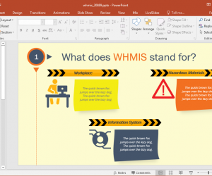 what does whmis stand for